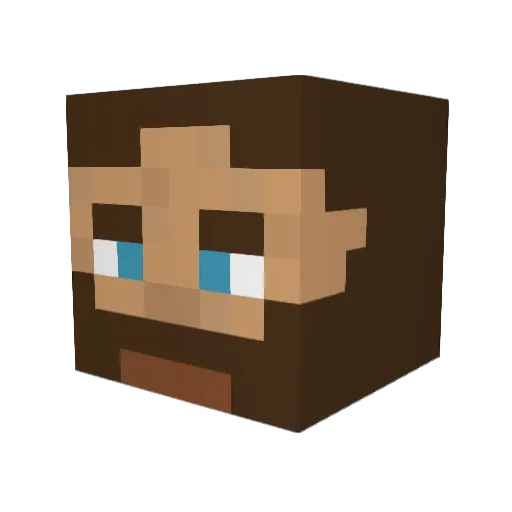 Ninboyko Minecraft avatar head, 3D render