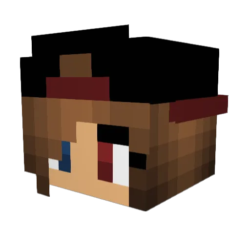 Ninchen0603 Minecraft avatar head, 3D render