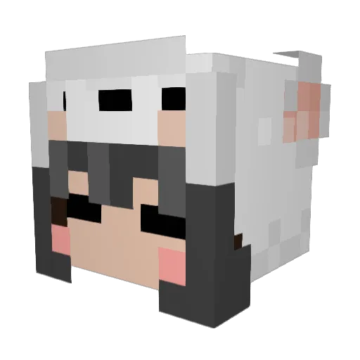 Ninchenator Minecraft avatar head, 3D render