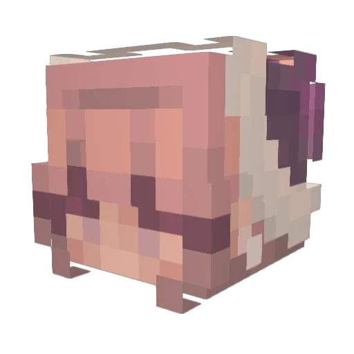 Ninchency Minecraft avatar head, 3D render