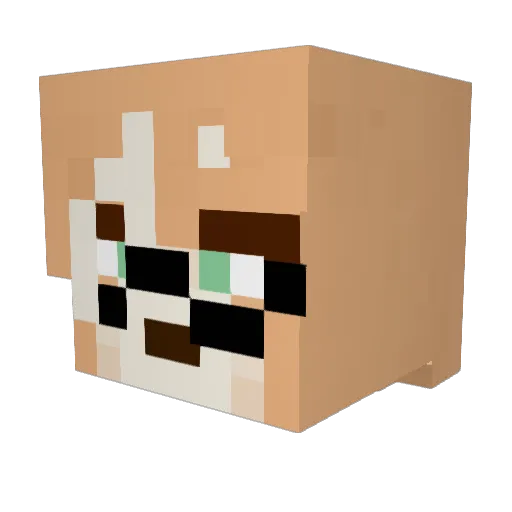 Minecraft-Avatar von Nindota: Kopf als 3D-Render