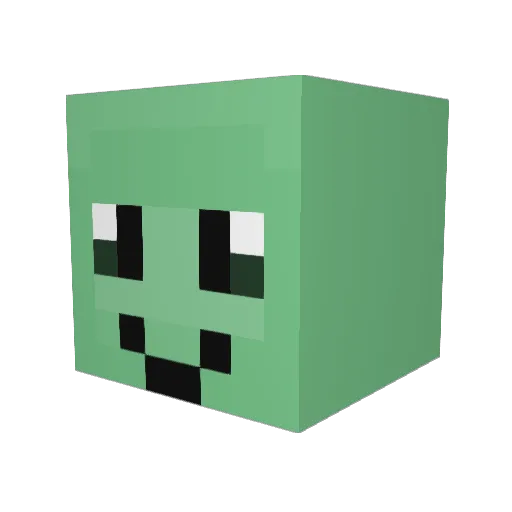 Nine3401 Minecraft avatar head, 3D render