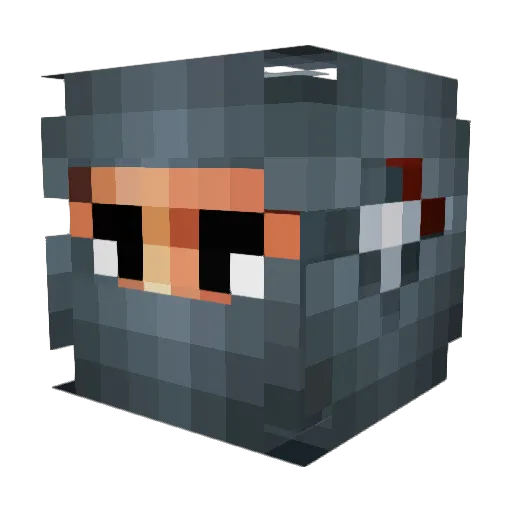 Nine9YT Minecraft avatar head, 3D render