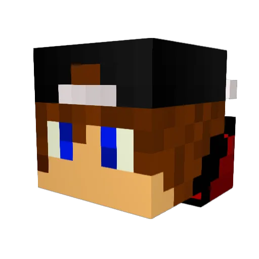 NineBanqz23 Minecraft avatar head, 3D render