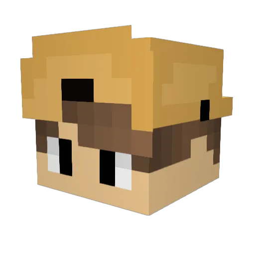 NineLives__ Minecraft avatar head, 3D render