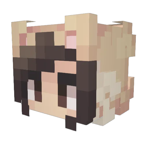 NineMine Minecraft avatar head, 3D render