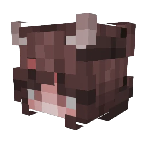 NineWhiteLies Minecraft avatar head, 3D render
