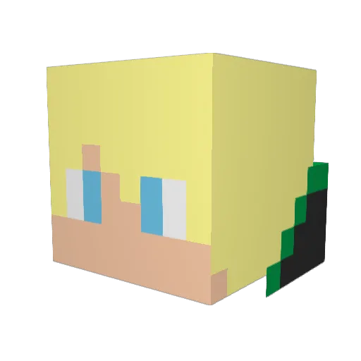 Nine_0905 Minecraft avatar head, 3D render