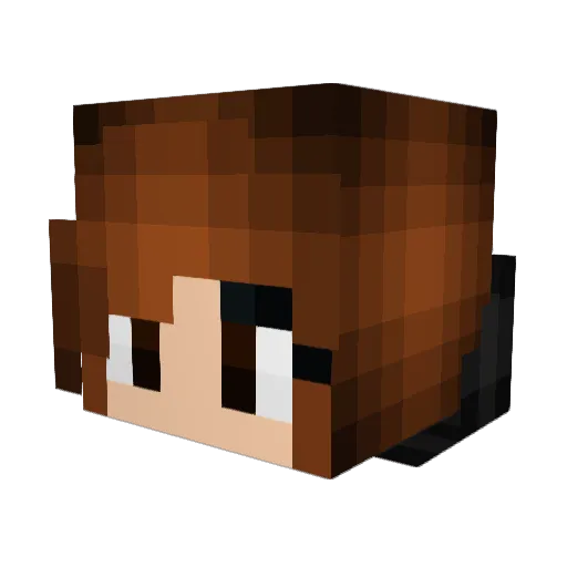 Nine_Lives Minecraft avatar head, 3D render
