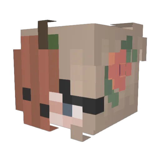 Nine_chunks Minecraft avatar head, 3D render