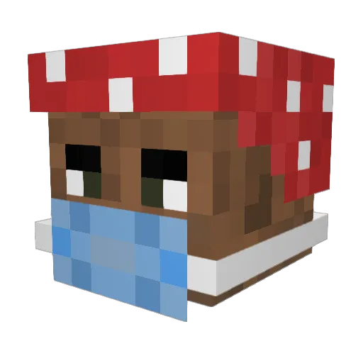 Nine_ss9 Minecraft avatar head, 3D render