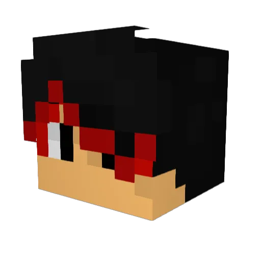 Ninebash Minecraft avatar head, 3D render