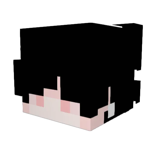 Ninechanasin Minecraft avatar head, 3D render