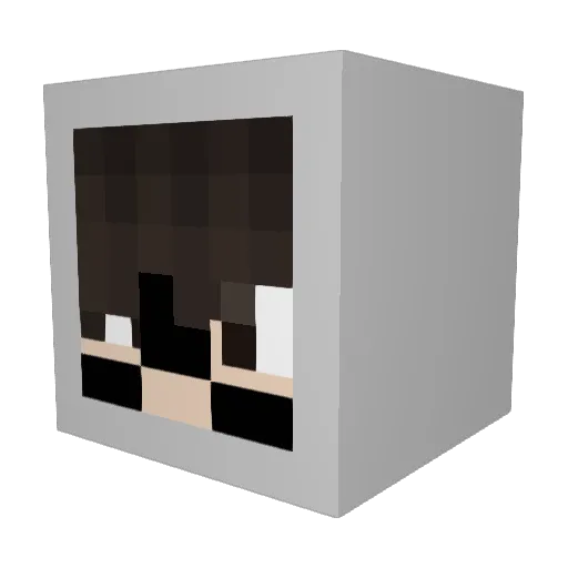 Ninehoy Minecraft avatar head, 3D render