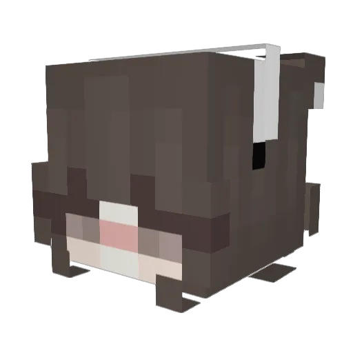 Nineorders Minecraft avatar head, 3D render