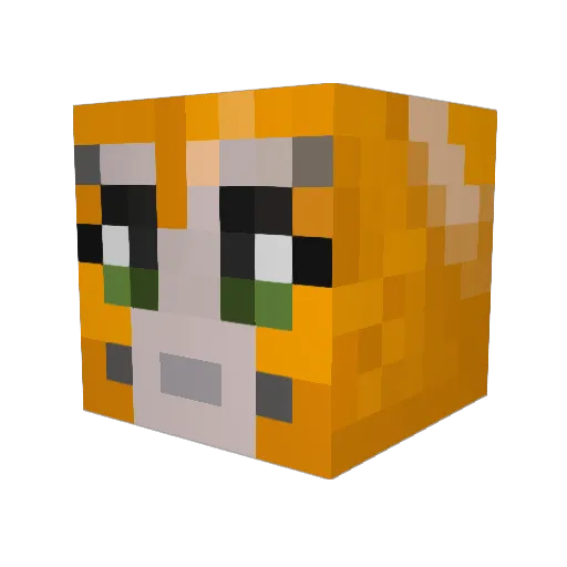 Niner0812 Minecraft avatar head, 3D render