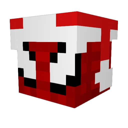 Ninersgo13 Minecraft avatar head, 3D render
