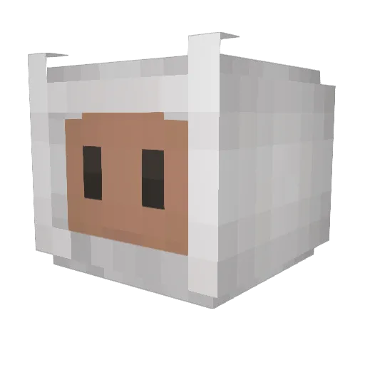 Ninerss Minecraft avatar head, 3D render