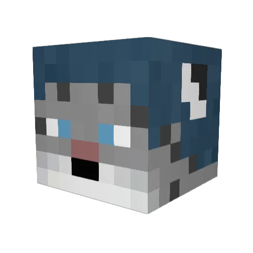 Nines91 Minecraft avatar head, 3D render