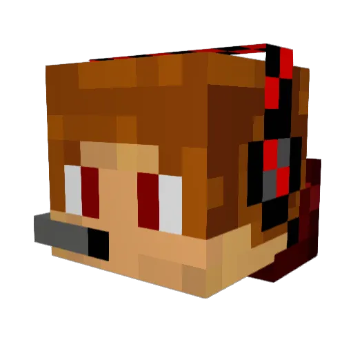 Ninetails_Play Minecraft avatar head, 3D render