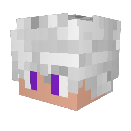 Ninezl7 Minecraft avatar head, 3D render