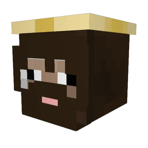 NingNhong Minecraft avatar head, 3D render