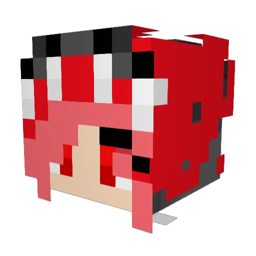 Ninga_gamer Minecraft avatar head, 3D render