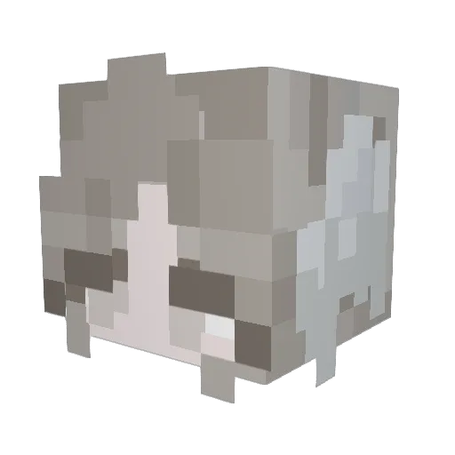 Minecraft-Avatar von Nini03: Kopf als 3D-Render