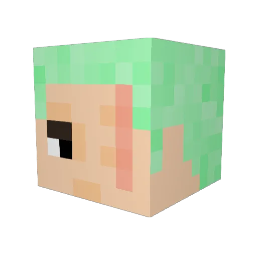 Nini1224 Minecraft avatar head, 3D render