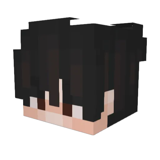 Nini3363 Minecraft avatar head, 3D render