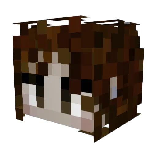 NiniLoulou Minecraft avatar head, 3D render