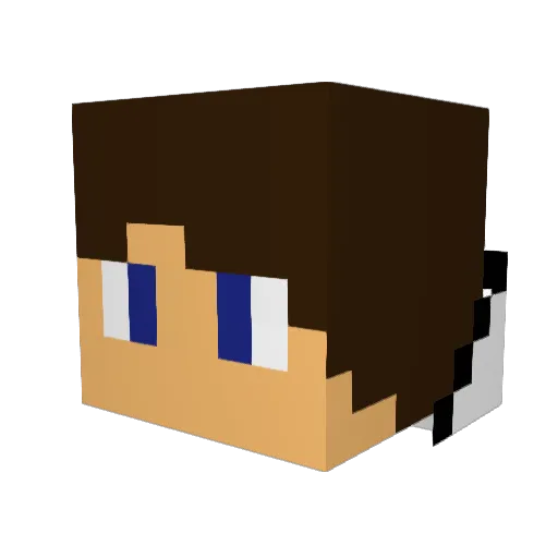 NiniPoppy Minecraft avatar head, 3D render