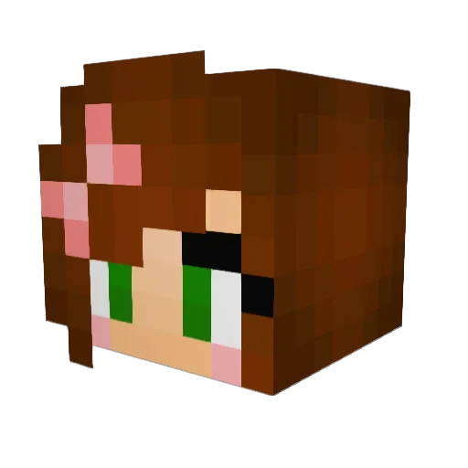 Ninia_Go Minecraft avatar head, 3D render