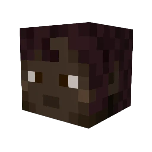 Ninie01 Minecraft avatar head, 3D render