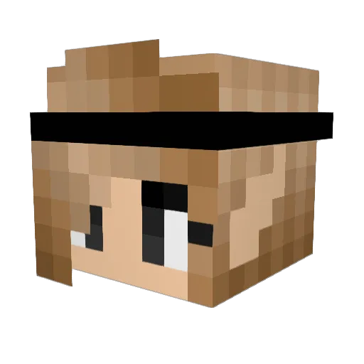 Niniele Minecraft avatar head, 3D render