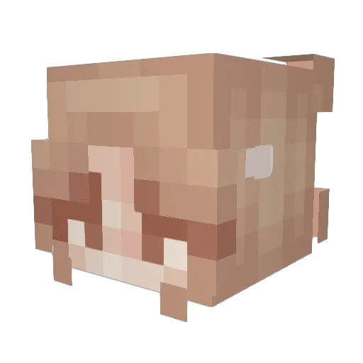 Niniiiiiiii Minecraft avatar head, 3D render