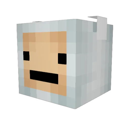 Ninioh Minecraft avatar head, 3D render