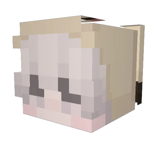 Ninitend Minecraft avatar head, 3D render