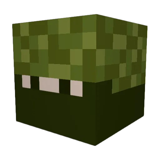 Ninj1856 Minecraft avatar head, 3D render
