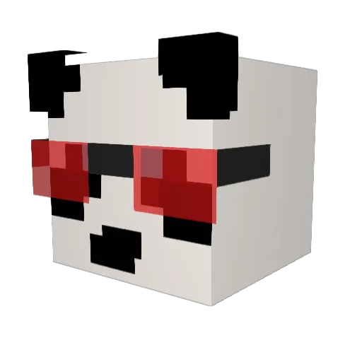 NinjA_Panda42 Minecraft avatar head, 3D render