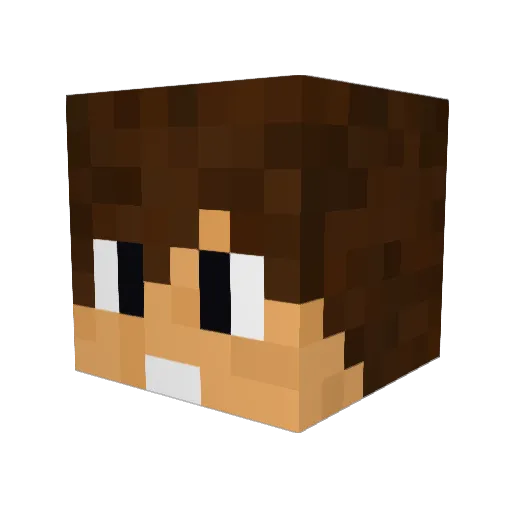 Ninja1228 Minecraft avatar head, 3D render