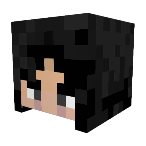 Ninja1256Book Minecraft avatar head, 3D render