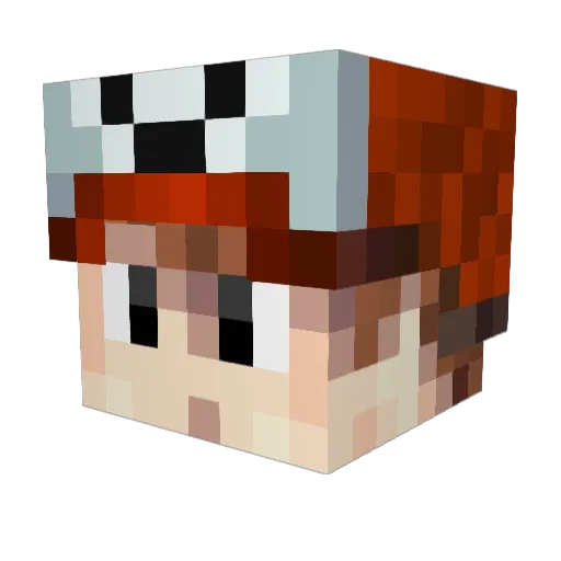 Ninja2222 Minecraft avatar head, 3D render
