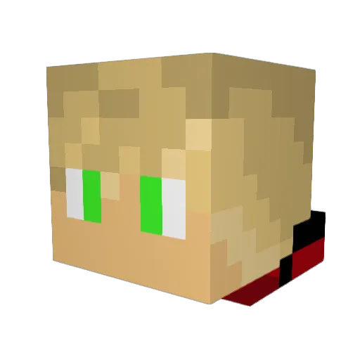 Ninja3339 Minecraft avatar head, 3D render