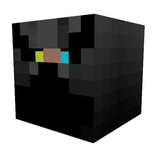 Ninja4450 Minecraft avatar head, 3D render