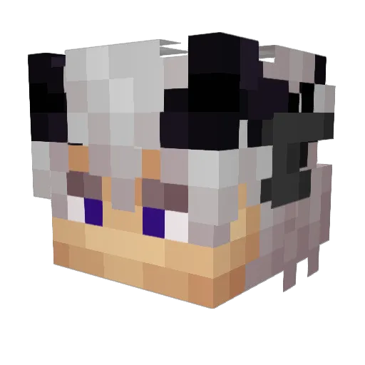 Ninja4812 Minecraft avatar head, 3D render