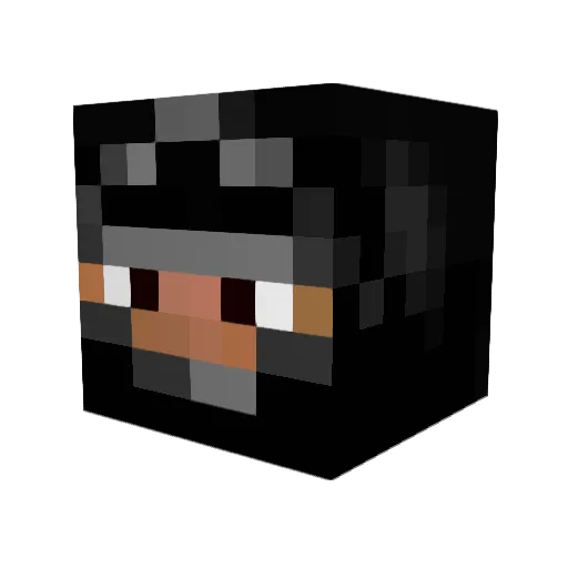 Ninja5032 Minecraft avatar head, 3D render