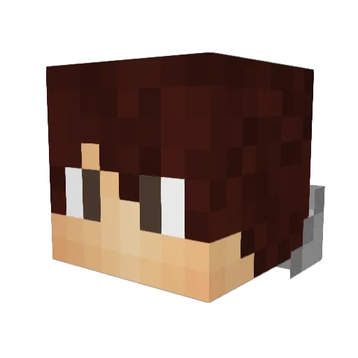 Ninja5152 Minecraft avatar head, 3D render
