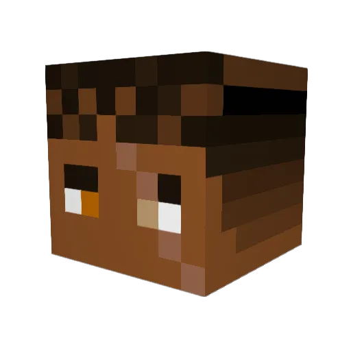 NinjaAR48 Minecraft avatar head, 3D render