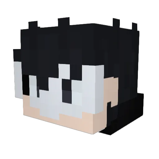 NinjaAlbum Minecraft avatar head, 3D render